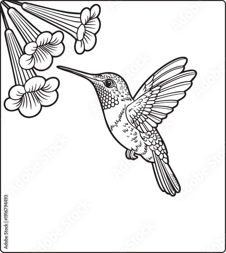Cute animal with beautiful flowers coloring page for kids and adults, black line art vector illustration for 
activity page or book design
