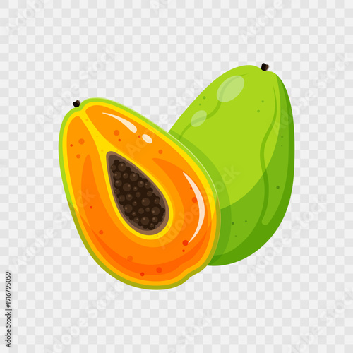Colourful papaya.Realistic fruit icon isolated on transparent background.Tropical fruits. Flat cartoon style.Design element for books,healthy food and farm posters and posters,advertising.Vector 