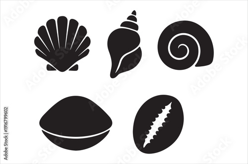 Black silhouettes depicting diverse seashell varieties arranged on a plain white background high quality professional