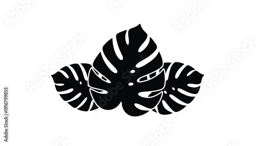 Three black silhouette monstera leaves on a white background.