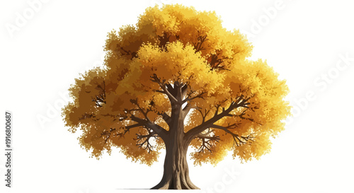 Golden autumn tree isolated on transparent background