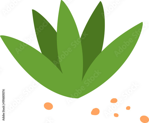 Desert botany color icon. Succulent natural shape