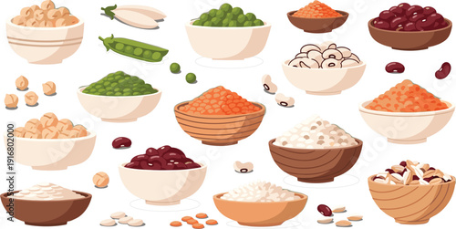 Professional vector illustration set of various legumes and pulses featuring chickpeas, lentils, peas, kidney beans, and rice in ceramic bowls for nutritional branding