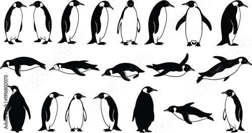 Hand Drawn Penguin Silhouette Collection Featuring Emperor Penguins in Various Poses Swimming and Standing Isolated Black and White Vector Illustration for Wildlife and Antarctic Design