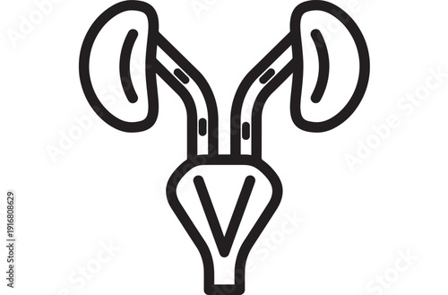Uterus icon with fallopian tubes and ovaries in bold outline, simple gynecology symbol for reproductive health, fertility, women’s wellness apps and medical UI