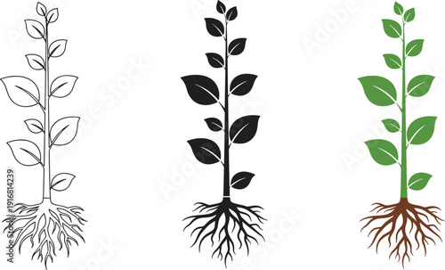 Canvastavla Botanical plant growth set featuring seedling with roots in line art black silho