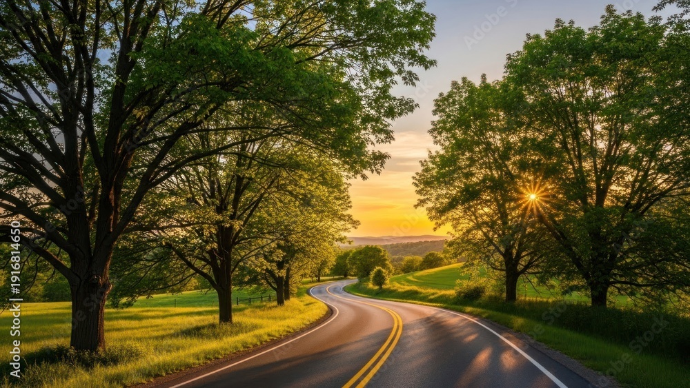 Fototapeta premium Winding country road lined with trees during a golden sunset.