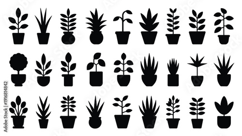 Collection of various potted houseplants and succulents in black silhouettes on white background for decoration and design