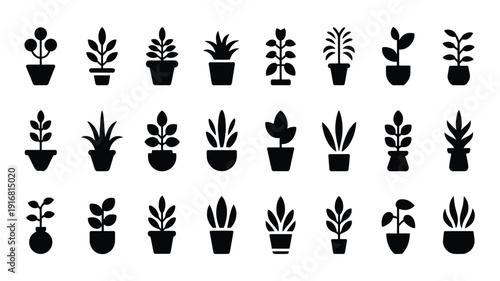 Collection of various potted plants and houseplants in black silhouettes on white background for decoration and design