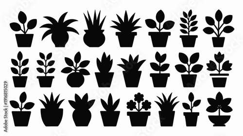 Collection of various potted plants and succulents in black silhouette on white background for decoration and design