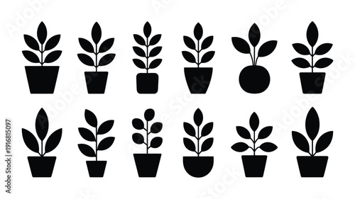 Set of black silhouettes of plants in pots on white background for design and decoration