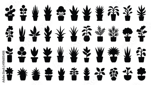 Collection of diverse potted plants and succulents in black silhouette on white background for decoration and design