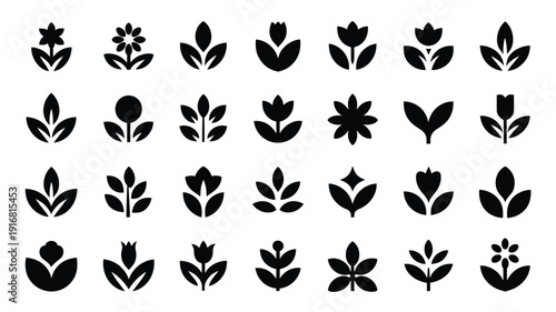 Collection of various black flower and leaf silhouettes on white background for design and decoration purposes