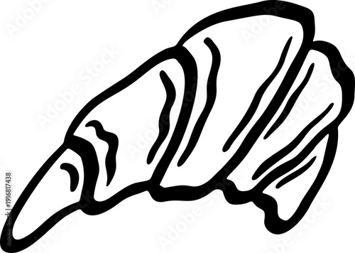 Doodle Conch Shell Hand Drawn