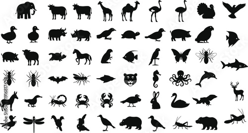 Wild animals and birds silhouettes set, zoo wildlife collection with mammals insects fish vector isolated on white