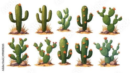 Variety of desert cacti and succulents in different shapes and sizes, ideal for nature and environmental themes.