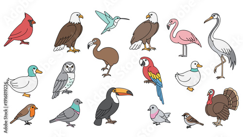 Educational set of bird illustrations featuring a parrot, eagle, flamingo, penguin, duck, and owl on a white background.
