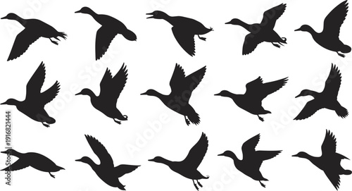 Flying duck silhouette collection, mallard waterfowl vector set, bird flight motion shapes, aquatic wildlife outlines, nature avian graphics, isolated wing poses, cad drawing flat vector illustration.