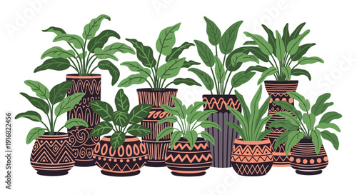 Collection of various indoor leafy plants in highly decorative and patterned pots arranged in a group for home decor inspiration.