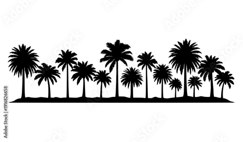 Minimal black palm tree silhouettes vector collection tropical botanical shapes
