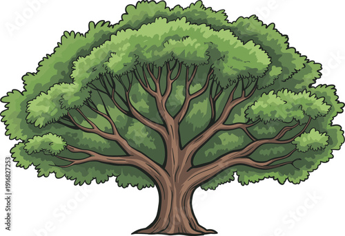 Detailed vector illustration of a large healthy green oak tree with a thick brown trunk isolated on a white background.