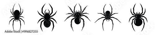 Collection of Happy Halloween creepy spider silhouette icon set. Vector illustration on white background.