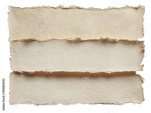 Torn paper edges with rough texture isolated on transparent background