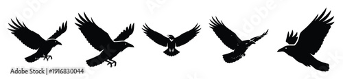 Collection of Happy Halloween raven bird silhouette icon set. Vector illustration on white background.