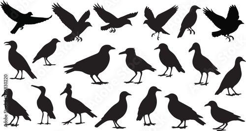 Black bird silhouettes soaring perched flying in diverse avian poses nature wildlife vector art