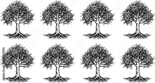 Tree silhouette vector set, black white clipart of exposed roots star leaf canopy decorative nature design, botanical illustration artwork bundle