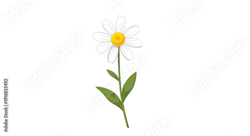 Single white daisy flower with a vibrant yellow center and green leaves stands tall against a plain white background in a simple flat illustration.