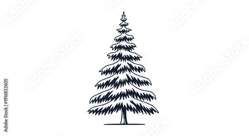 Detailed black and white sketch of a tall evergreen pine tree with layered branches and a straight trunk, isolated on a clean white background.