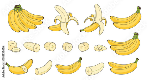 Comprehensive collection of banana illustrations including whole bunches, peeled bananas, and individual slices for food and nutritional themes.
