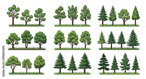 Collection of different types of trees including deciduous and coniferous species arranged in rows on green grass.