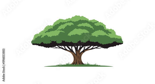 Large spreading tree with lush green foliage and a sturdy trunk stands prominently against a clean white background for nature designs.