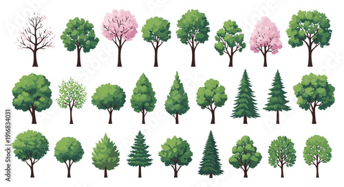 Comprehensive collection of various tree species displays different shapes, sizes, and colors like pink cherry blossoms and deep green pines.