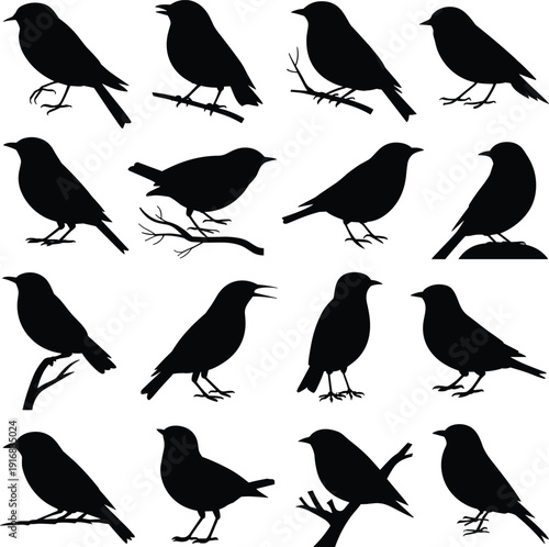 Bird silhouettes perched branches various poses profile views flying resting vector illustration wildlife nature design artwork ornithology graphic
