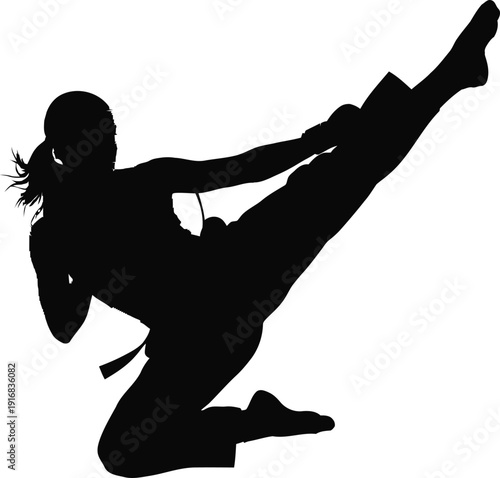 women martial arts fighter silhouette on white background 