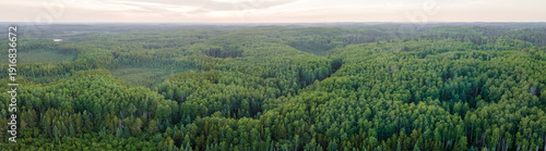 Tableau sur toile Panoramic drone view of a vast green northern forest stretching to the horizon beneath a soft gray sky, where layers of trees form a quiet, endless canopy in calm, overcast light