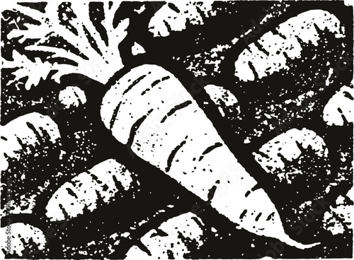 Vintage black and white illustration of a carrot among root vegetables, hand drawn farm produce artwork