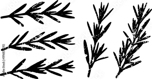 Black silhouette rosemary herb branches with leaves isolated on white background