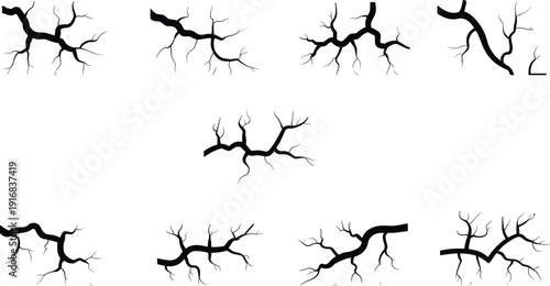 Branching structures silhouettes tree dendrites neural biology morphology variations vector illustration design artwork science pattern recognition graphic