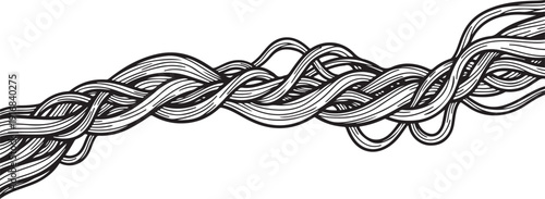 Vintage botanical branch illustration. Decorative engraved plant stem with flowing curves and ornamental lines, hand-drawn outline vector.eps