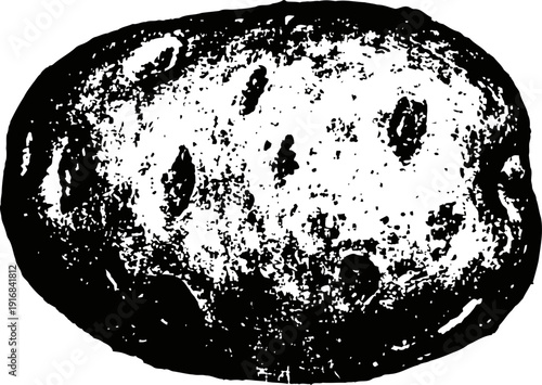 Black and white vector illustration of a whole potato tuber with detailed textured skin