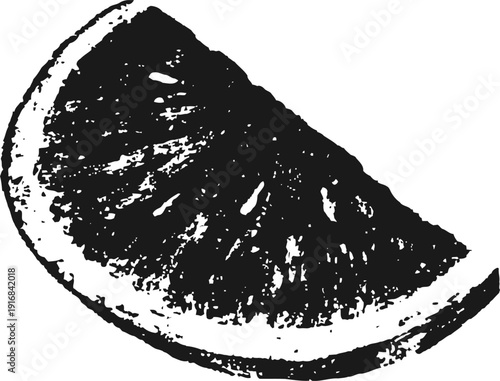 Black and white orange slice illustration citrus fruit segment with detailed pulp and textured rind