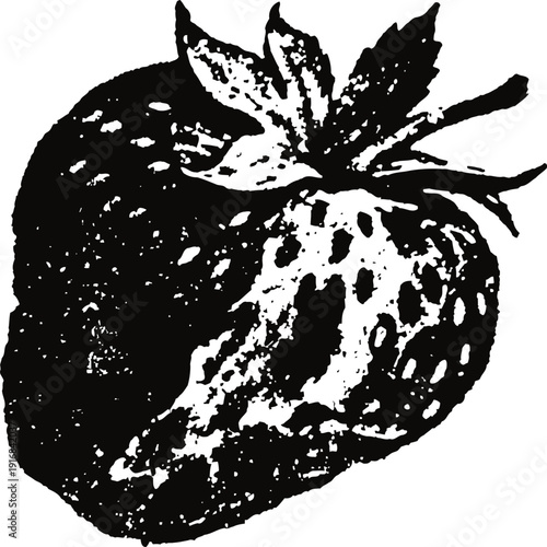 Strawberry fruit vintage engraving detailed hand drawn berry illustration with leaves and seeds in black and white