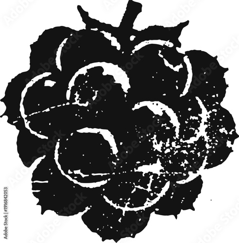 black and white raspberry silhouette with leaf details vintage fruit illustration