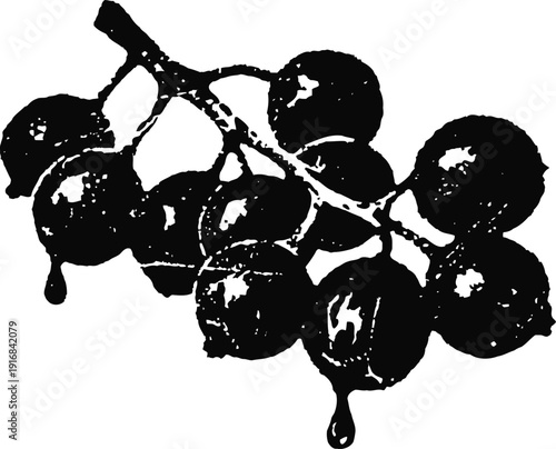 Black olives cluster dripping oil fresh ripe olives on branch with liquid drops natural mediterranean fruit concept