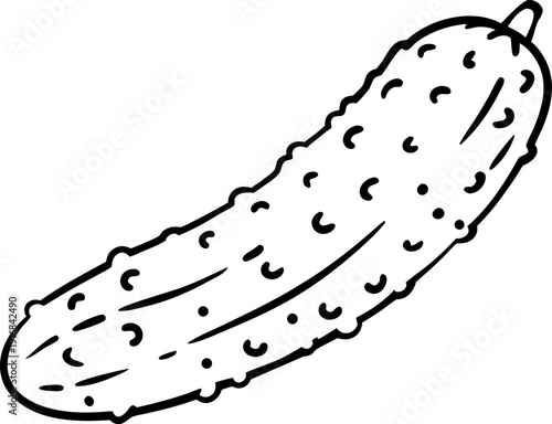 Hand drawn cucumber illustration fresh vegetable sketch with seeds and textured skin, natural garden produce