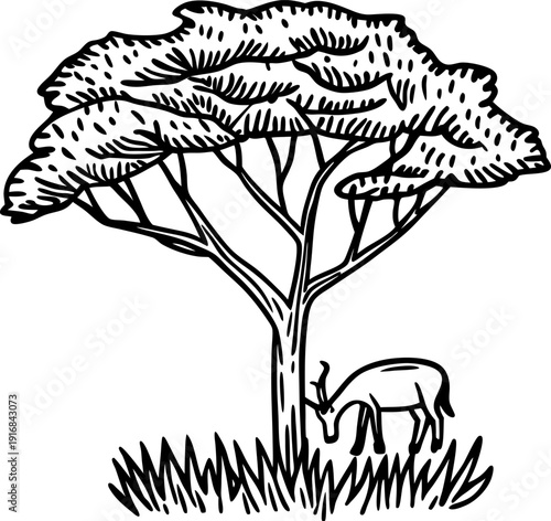 Acacia tree with antelope grazing under branches, savanna wildlife nature scene drawing